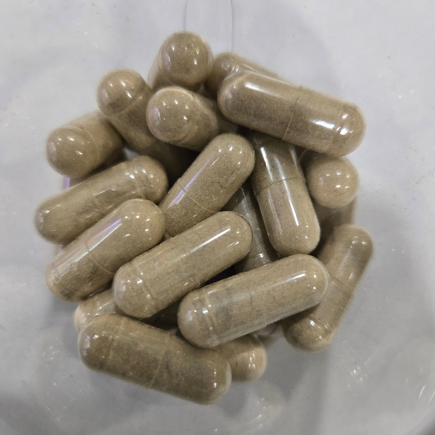 Tongkat Ali | Energy, Stamina & Hormone Support
