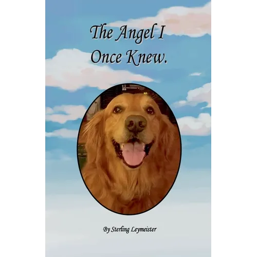 The Angel I Once Knew