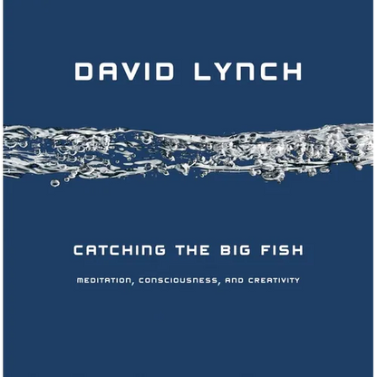 Catching the Big Fish: Meditation, Consciousness, and Creativity - Hardcover