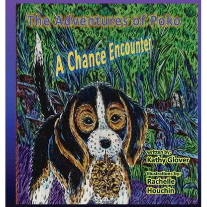 The Adventures of Poko - A Chance Encounter - Paperback