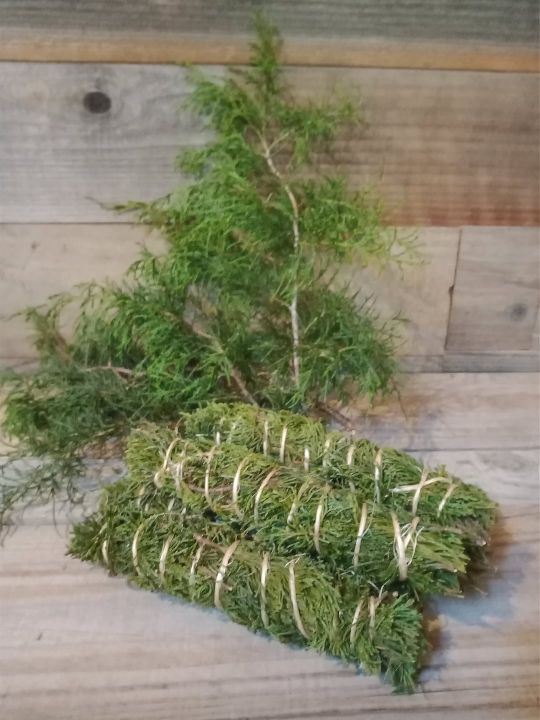 Juniper Smudge Bundle (6-8 inches)