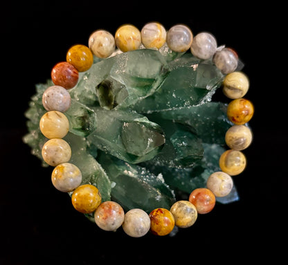 Crazy Lace Agate Bracelet – 8mm Beads for Joy, Vitality & Balance (Medium Wrists)
