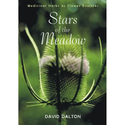 Stars of the Meadow: Medicinal Herbs as Flower Essences - Paperback