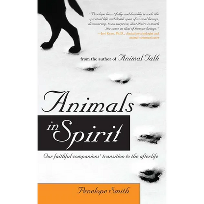 Animals in Spirit: Our Faithful Companions' Transition to the Afterlife - Paperback
