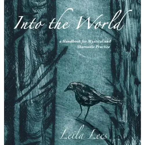 Into the World: a Handbook for Mystical and Shamanic Practice