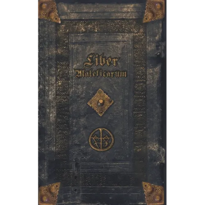 Liber Maleficarum: The mysterious diary of an unknown witch - Paperback