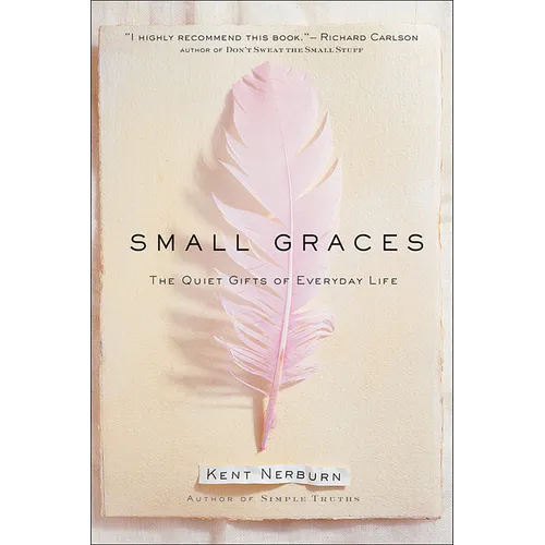 Small Graces: A Celebration of the Ordinary: Sacred Moments That Illuminate Our Lives