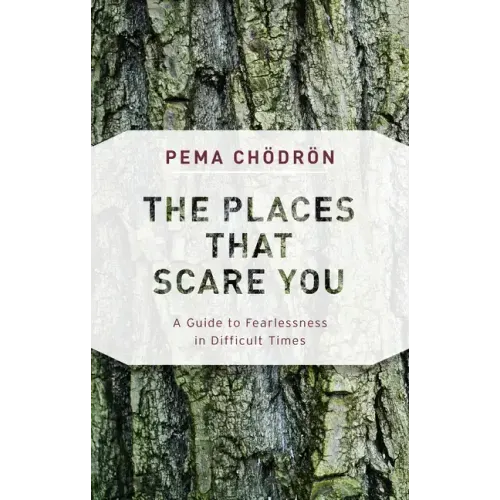 The Places That Scare You: A Guide to Fearlessness in Difficult Times