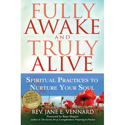Fully Awake and Truly Alive: Spiritual Practices to Nurture Your Soul - Paperback