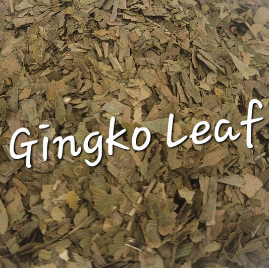 Ginkgo Biloba | Memory & Circulatory Support