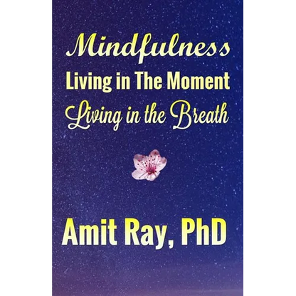 Mindfulness: Living in the Moment Living in the Breath - Paperback