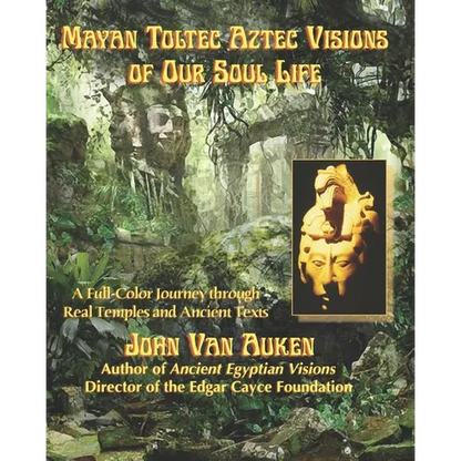 Mayan Toltec Aztec Visions of Our Soul Life - Paperback