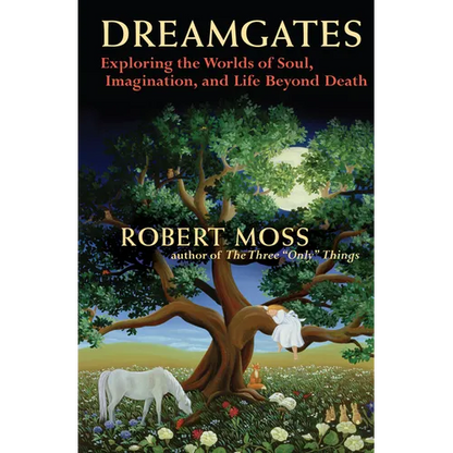 Dreamgates: Exploring the Worlds of Soul, Imagination, and Life Beyond Death - Paperback
